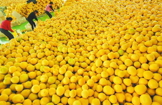 开个富硒产品店怎么样(富硒产品销售方案)-硒宝网