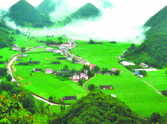 开个富硒产品店怎么样(富硒产品销售方案)-硒宝网