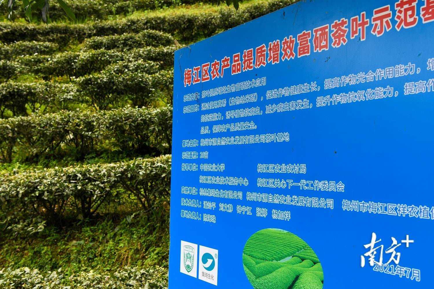 江津富硒农产品有哪些（江津富硒含量地图）-硒宝网