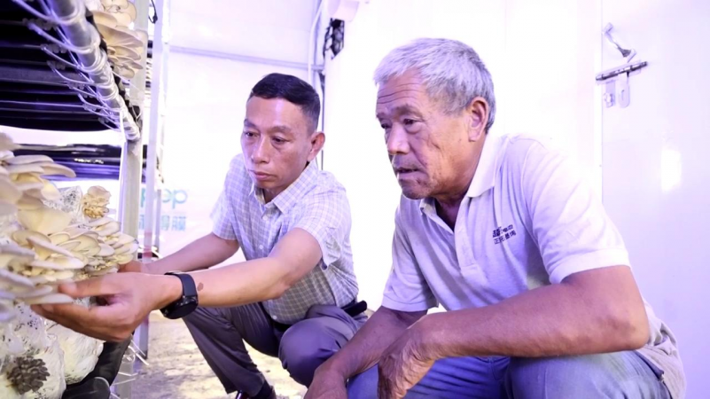 于都县富硒产品有那些(于都富硒蔬菜基地)-硒宝网