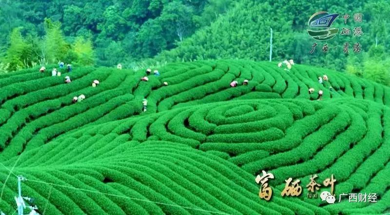 富硒产品几年认证一次(富硒产品认证机构)-硒宝网