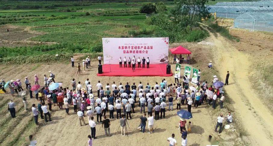 河曲富硒农产品品牌化(富硒农业)-硒宝网