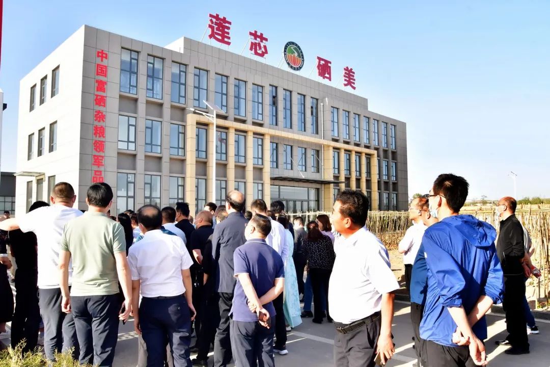 河曲富硒农产品品牌化（河套富硒面粉）-硒宝网