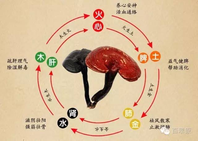 怀孕能不能吃富硒产品(怀孕可以吃富硒食品)-硒宝网