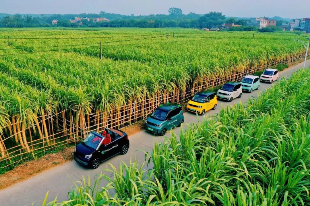 贵港新塘镇富硒农产品(贵港市富硒农产品)-硒宝网