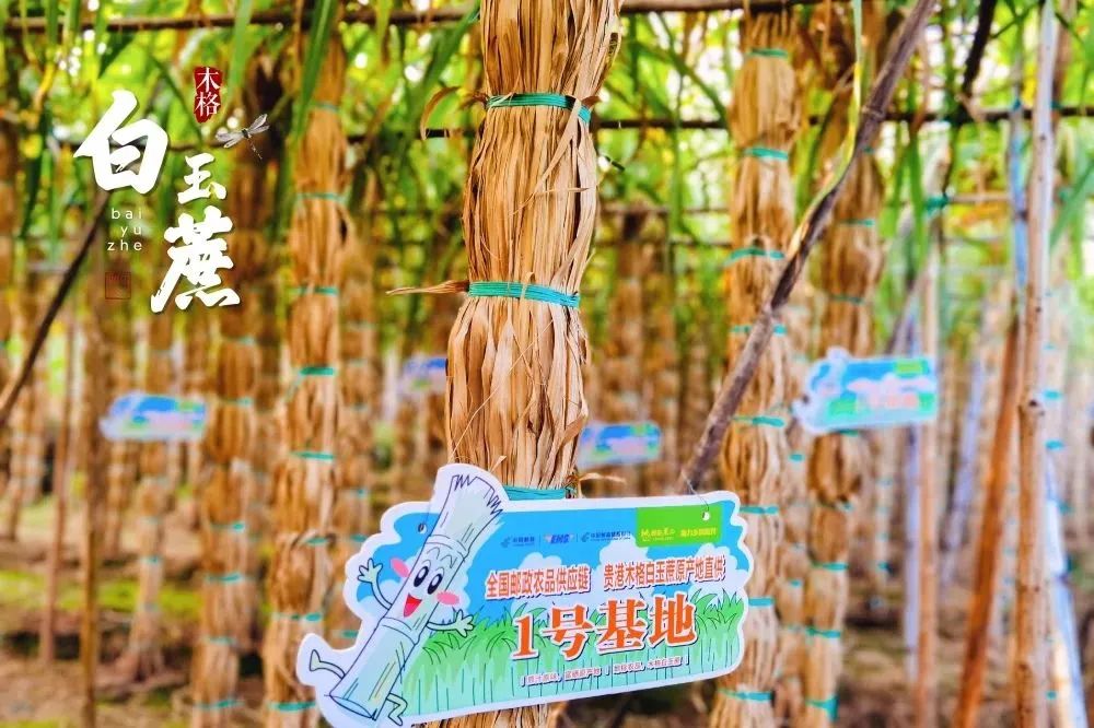 贵港新塘镇富硒农产品(贵港市富硒农产品)-硒宝网