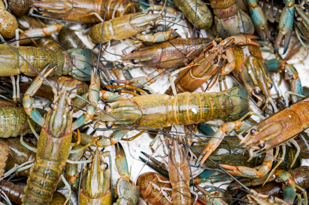 贵港新塘镇富硒农产品(贵港市富硒农产品)-硒宝网