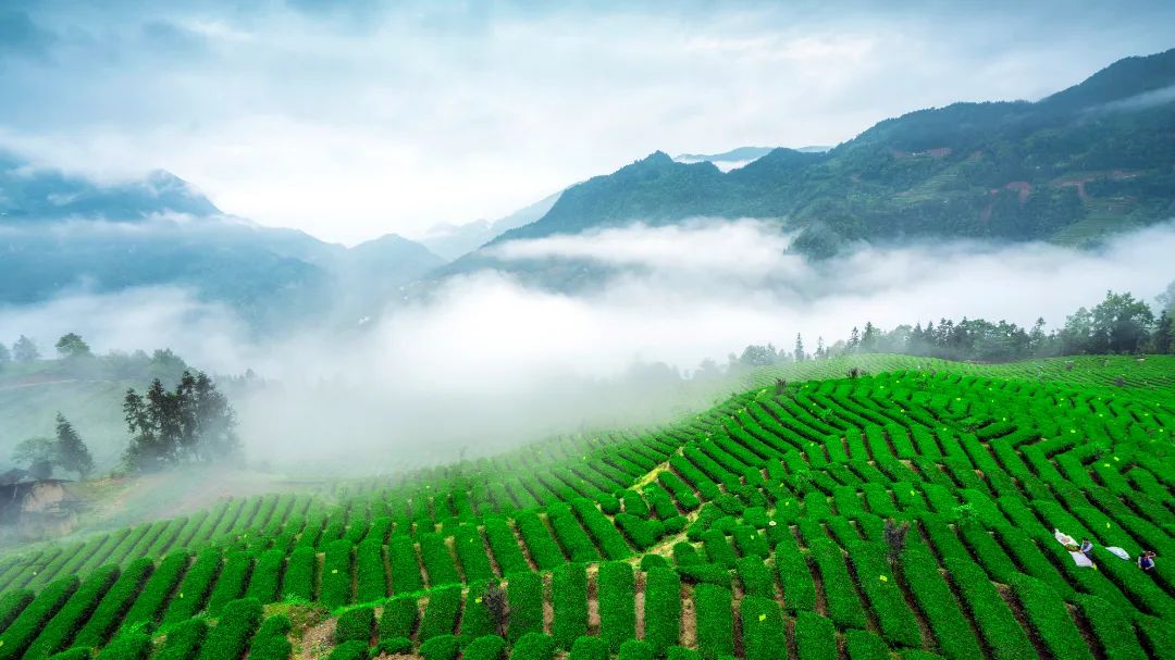 富硒恩施农产品有哪些(湖北恩施富硒农产品)-硒宝网