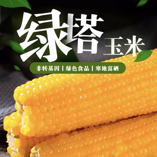 北方可以种富硒产品吗(富硒地适合种什么)-硒宝网