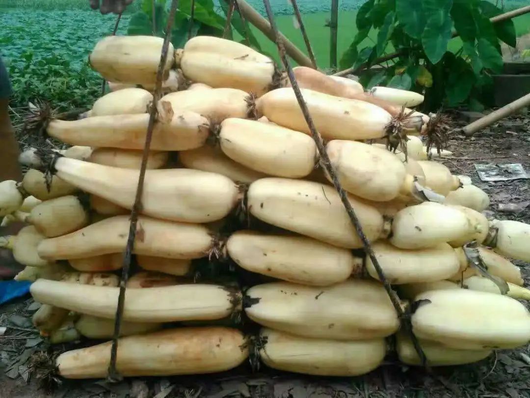 富硒恩施农产品有哪些（恩施富硒食品都有哪些）-硒宝网