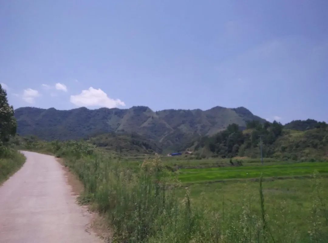 富硒恩施农产品有哪些（恩施富硒食品都有哪些）-硒宝网