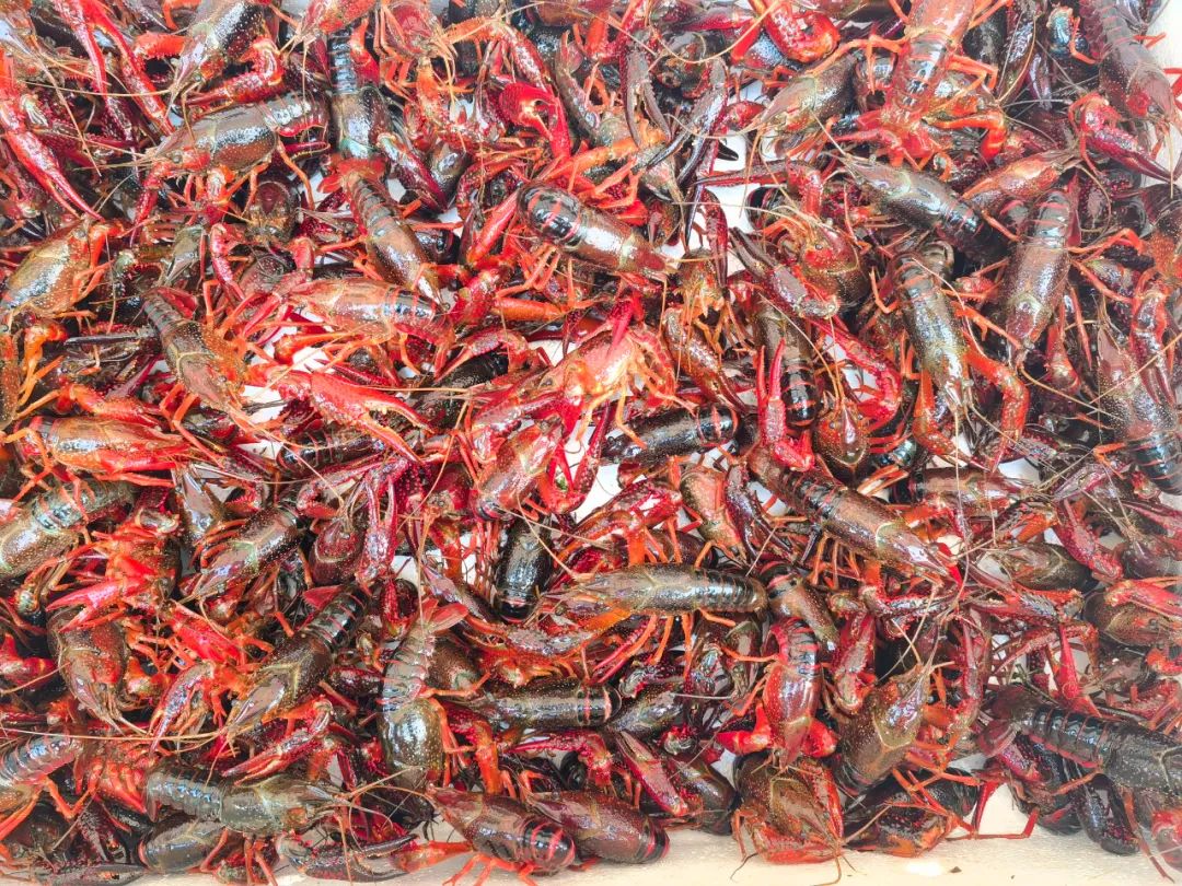 贵港新塘镇富硒农产品(贵港富硒)-硒宝网