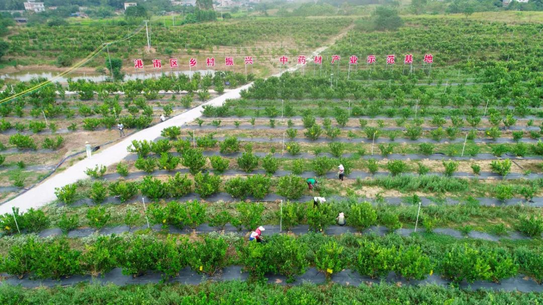 贵港新塘镇富硒农产品(贵港富硒)-硒宝网