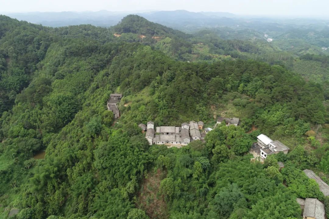 贵港新塘镇富硒农产品(贵港富硒)-硒宝网