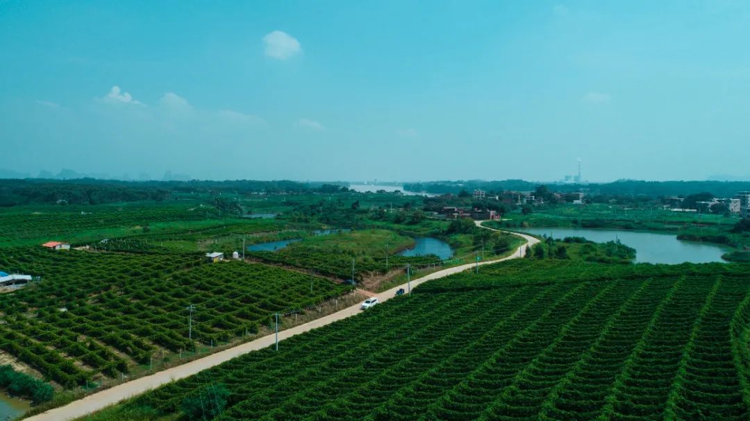 贵港新塘镇富硒农产品(贵港富硒)-硒宝网