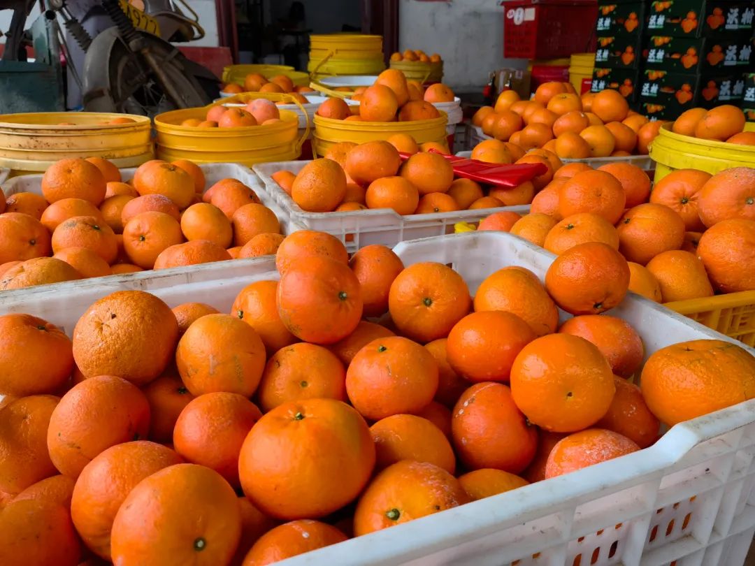 贵港新塘镇富硒农产品(贵港富硒)-硒宝网