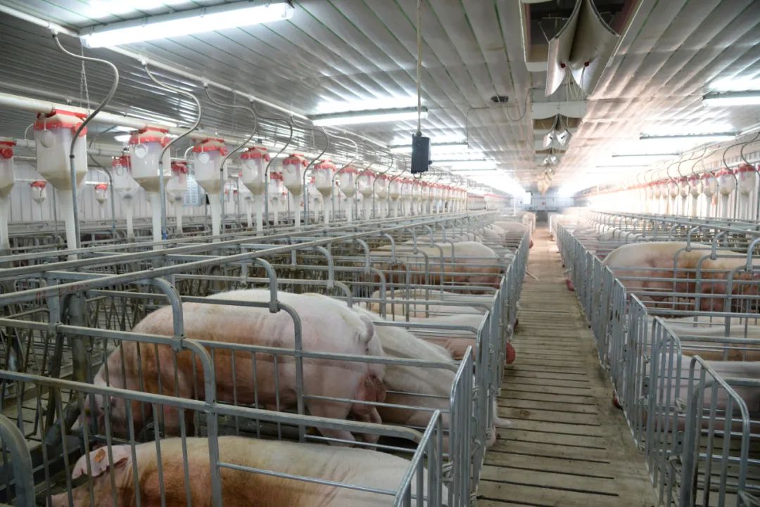 贵港新塘镇富硒农产品(贵港富硒)-硒宝网