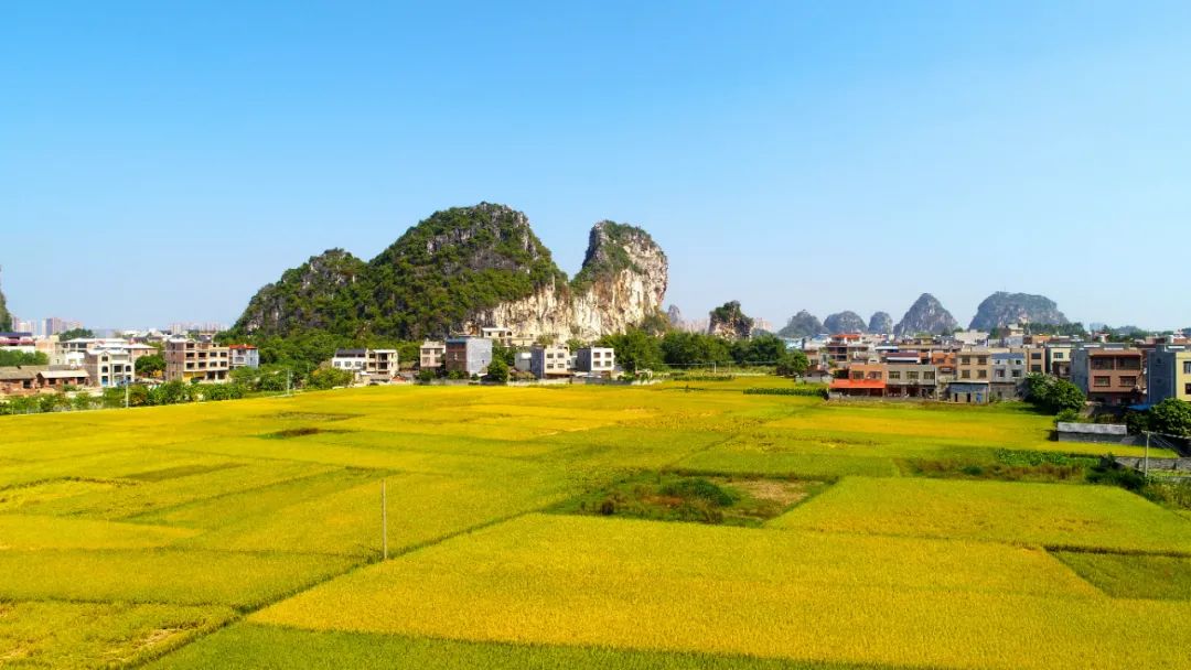 贵港新塘镇富硒农产品(贵港富硒)-硒宝网