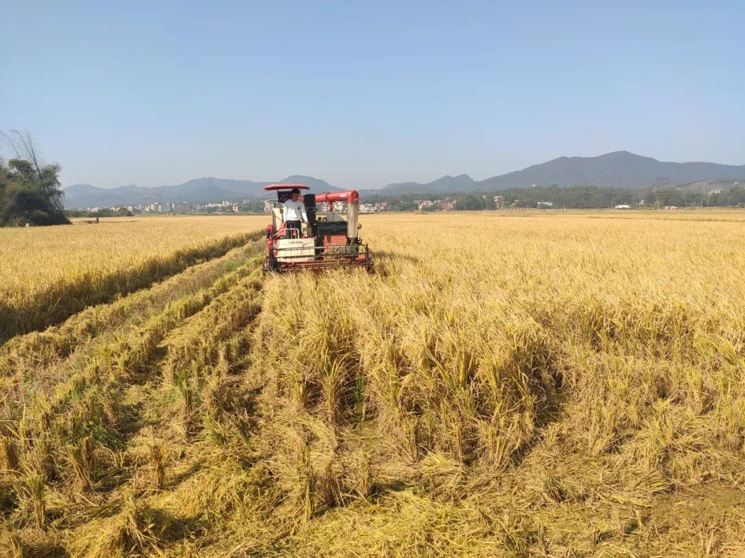 贵港新塘镇富硒农产品(贵港富硒)-硒宝网