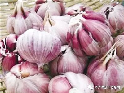 富硒精深加工产品项目(加工精富硒项目产品怎么样)-硒宝网