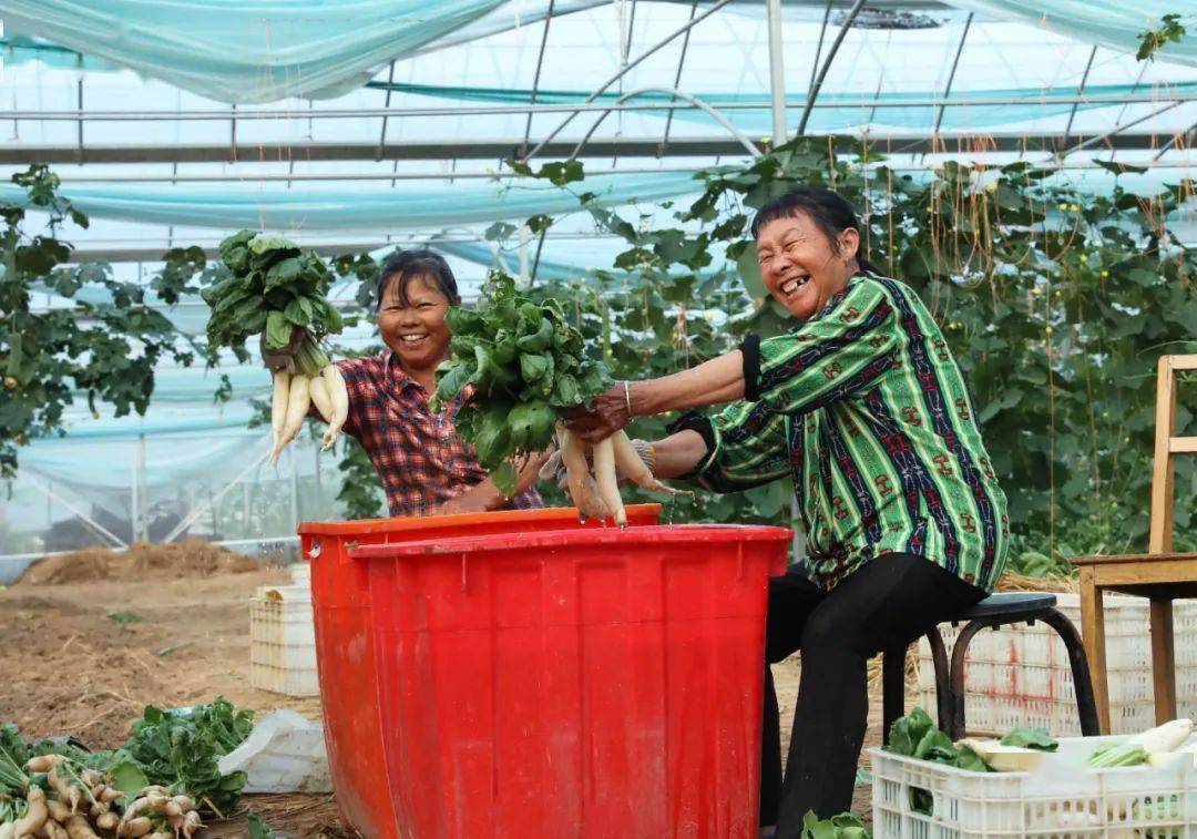 富硒农产品俏销北上广（农富硒）-硒宝网