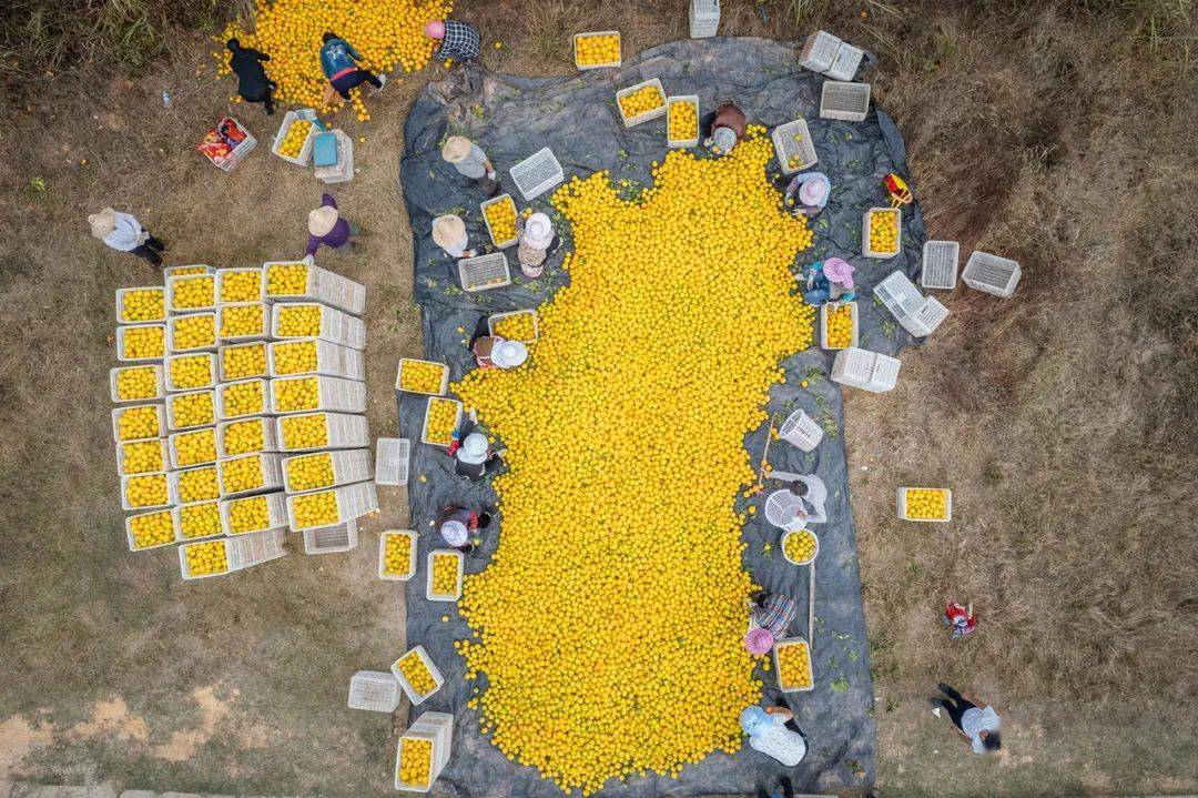 富硒农产品俏销北上广（农富硒）-硒宝网