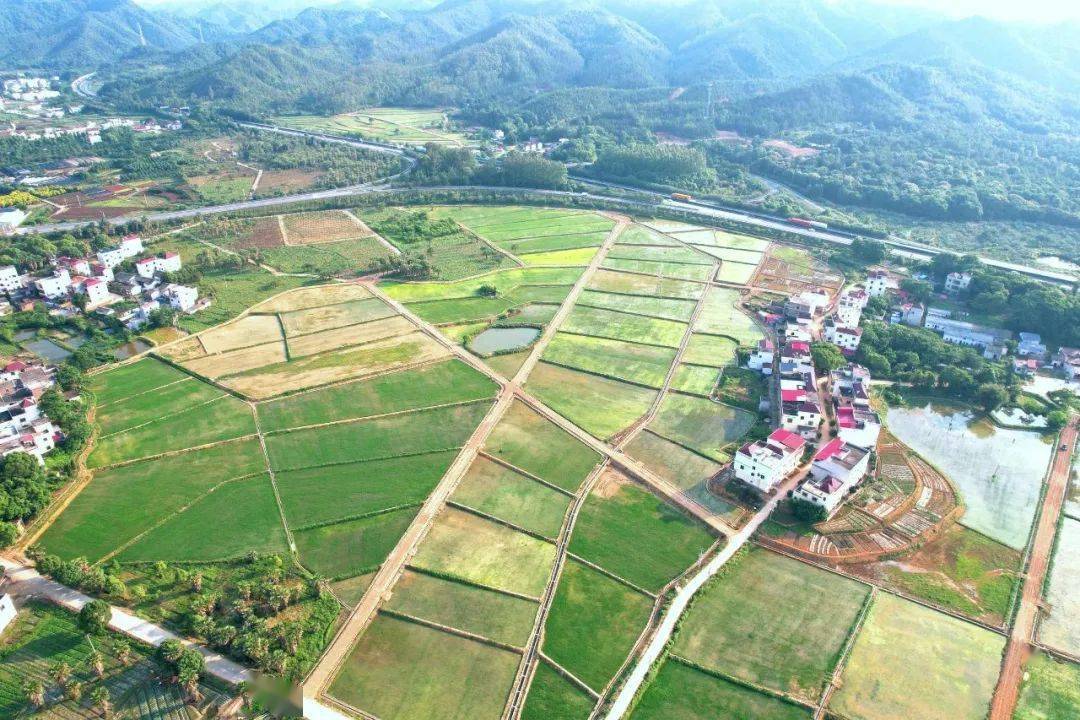 富硒农产品俏销北上广（农富硒）-硒宝网