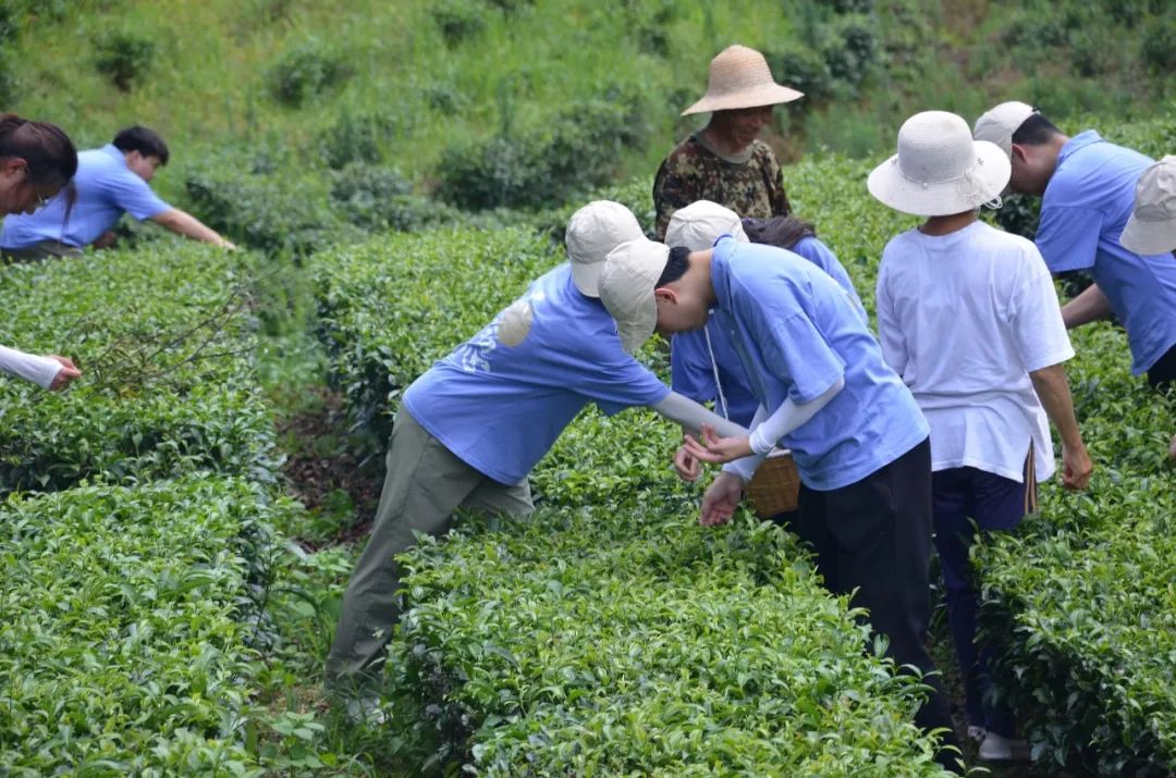恩施富硒产品批发市?。ǘ魇└晃┎放⑹谐。?硒宝网