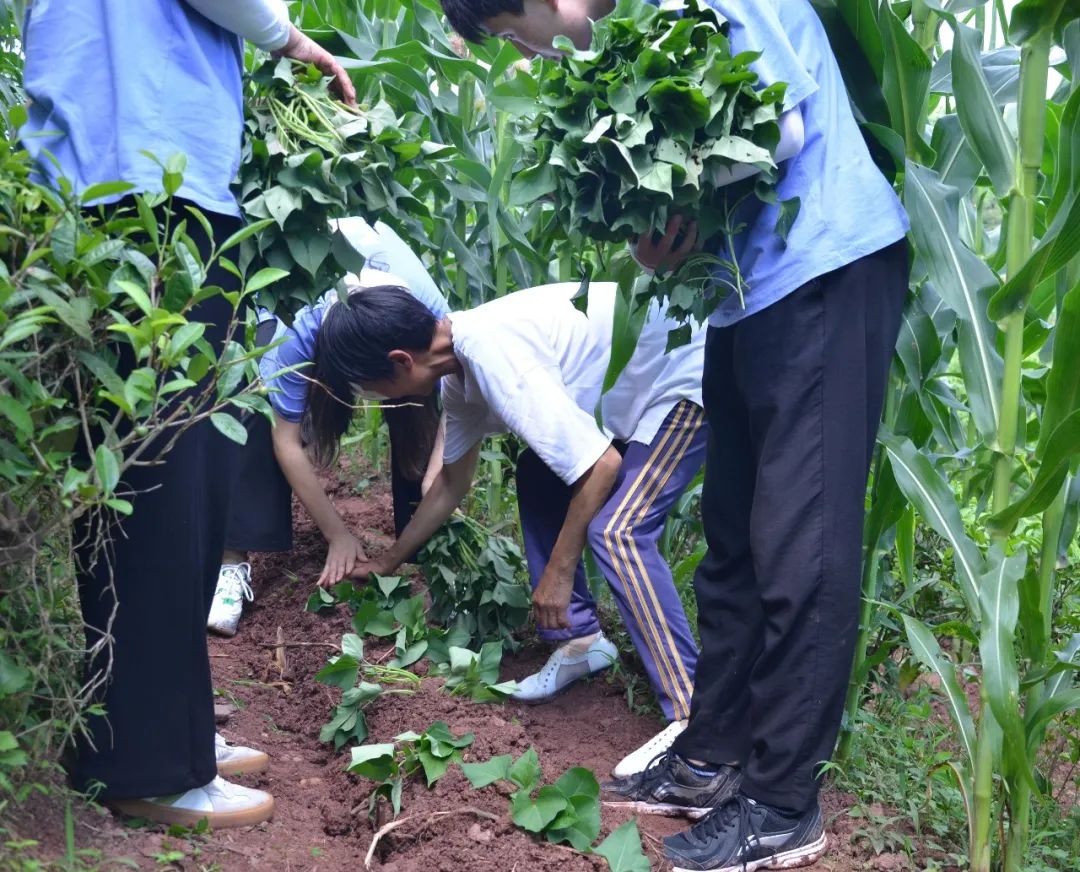 恩施富硒产品批发市?。ǘ魇└晃┎放⑹谐。?硒宝网