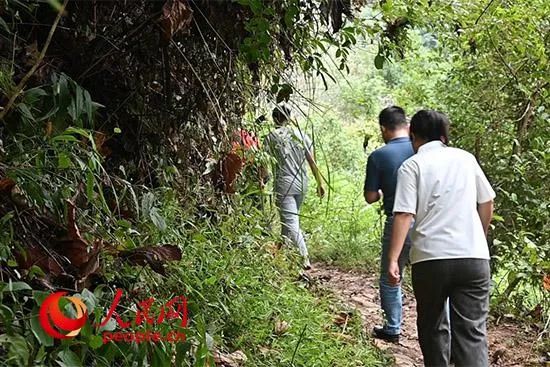 于都县富硒产品有哪些（于都富硒蔬菜基地）-硒宝网