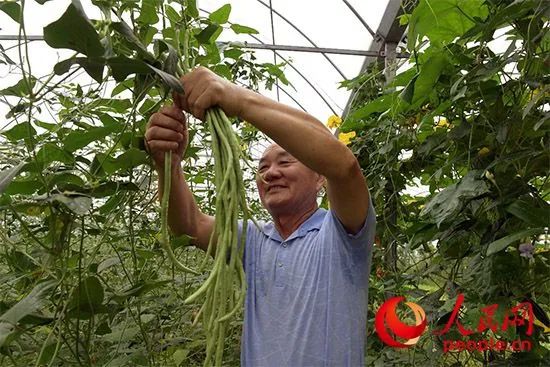 于都县富硒产品有哪些（于都富硒蔬菜基地）-硒宝网