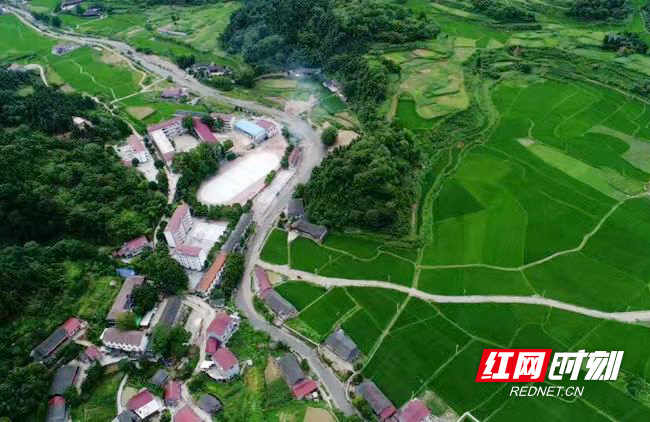 两会对富硒产品的发展(富硒产业发展政策)-硒宝网