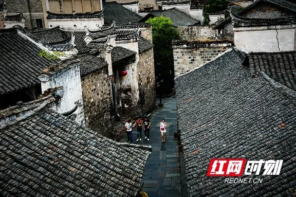 两会对富硒产品的发展(富硒产业发展政策)-硒宝网