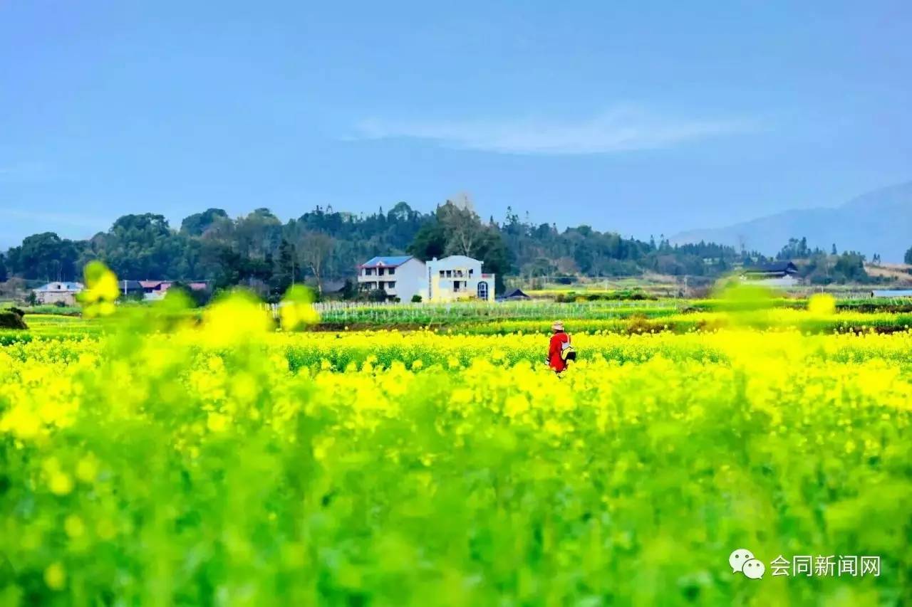 两会对富硒产品的发展(富硒产业发展政策)-硒宝网