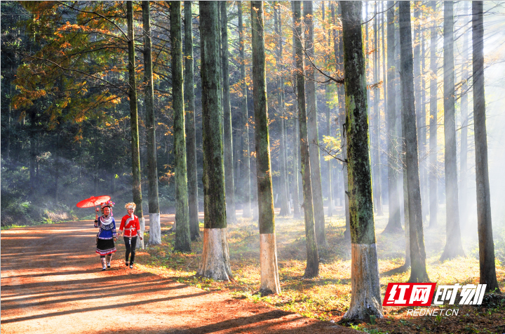 两会对富硒产品的发展(富硒产业发展政策)-硒宝网