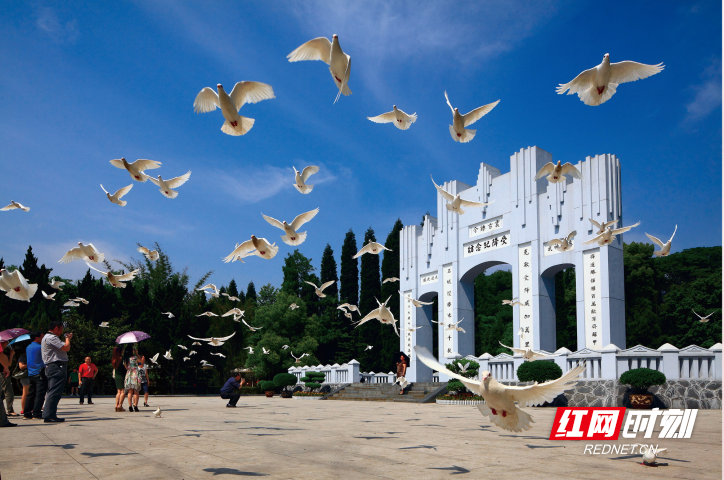 两会对富硒产品的发展(富硒产业发展政策)-硒宝网