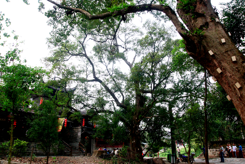 两会对富硒产品的发展(富硒产业发展政策)-硒宝网