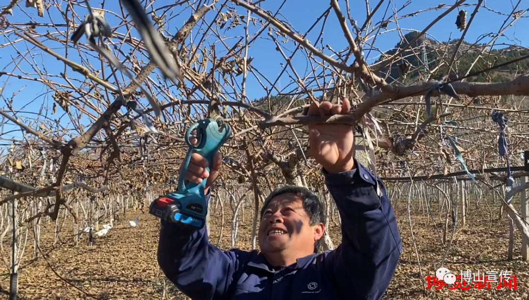 博山富硒产品价格多少(山东富硒农产品)-硒宝网