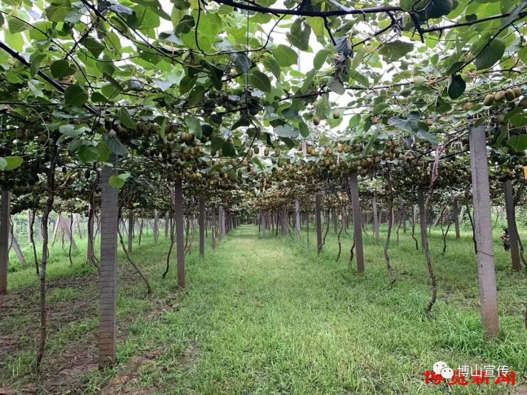 博山富硒产品价格多少(山东富硒农产品)-硒宝网