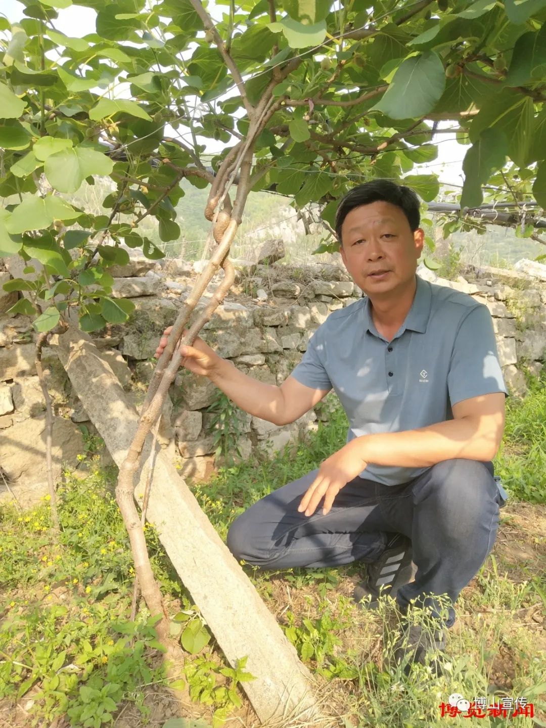 博山富硒产品价格多少(山东富硒农产品)-硒宝网