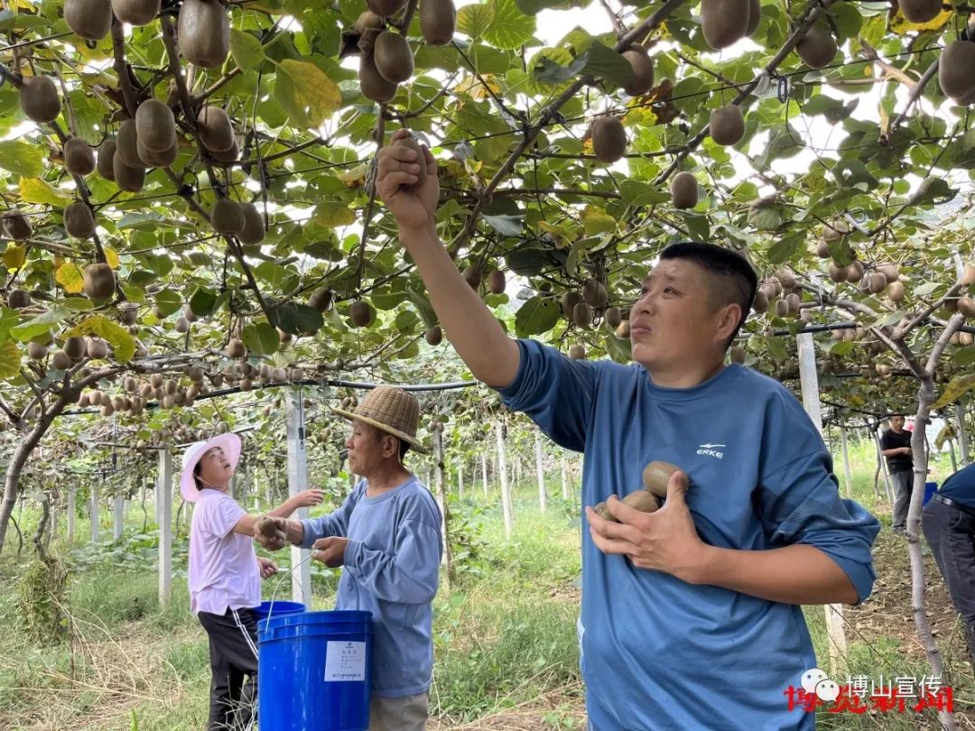 博山富硒产品价格多少(山东富硒农产品)-硒宝网