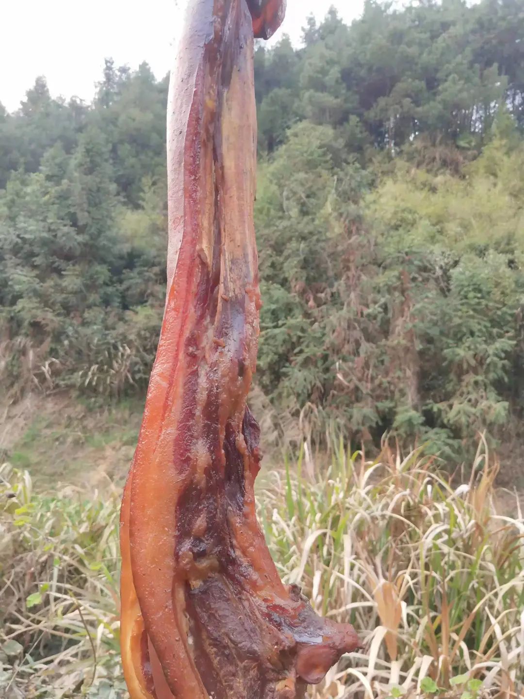 不是富硒农副产品特点（农副特点富硒产品是什么）-硒宝网