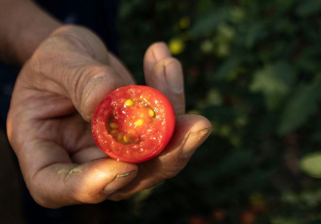 淄川裕祥德富硒农产品(湖北富硒产品)-硒宝网