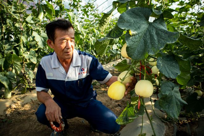 淄川裕祥德富硒农产品(湖北富硒产品)-硒宝网