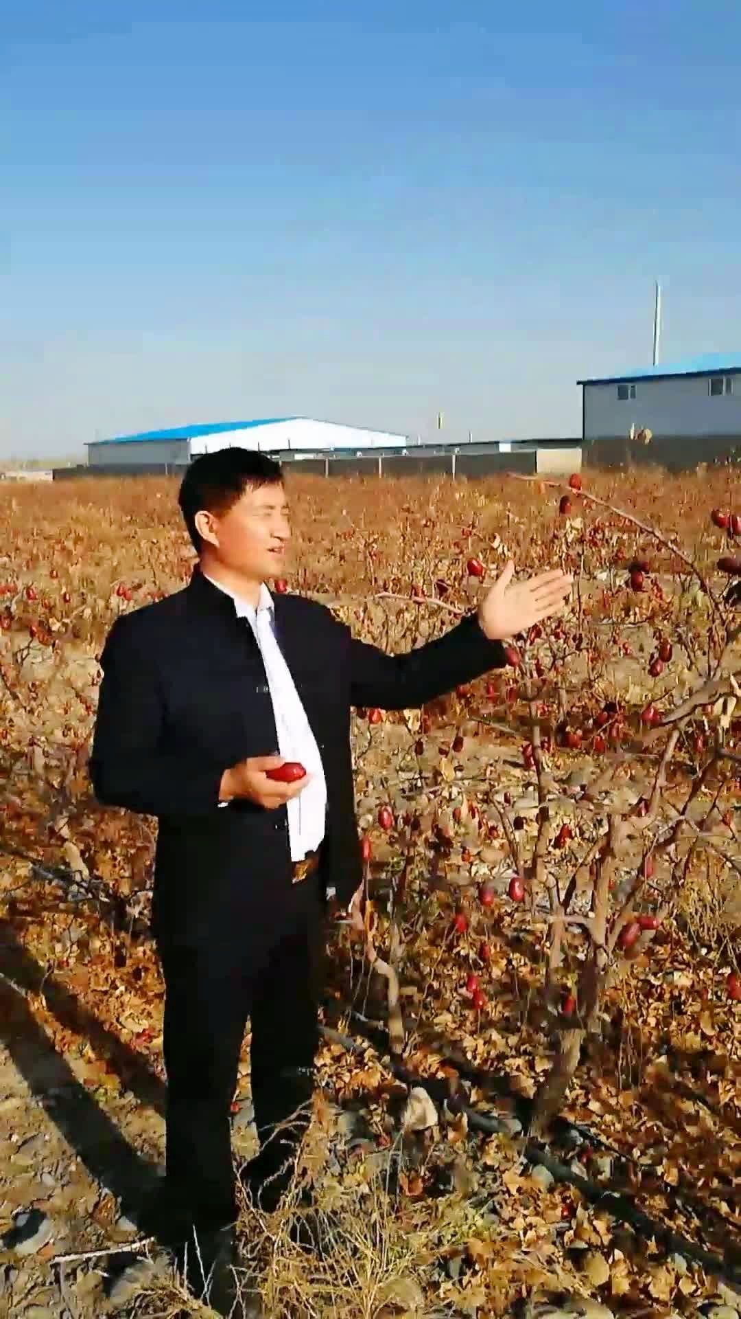 两会对富硒产品的发展（富硒产业发展规划）-硒宝网