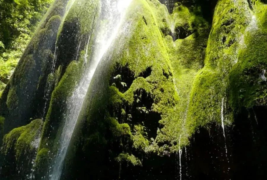 湖北省富硒农产品标准（湖北省富硒产业技术研究院）-硒宝网