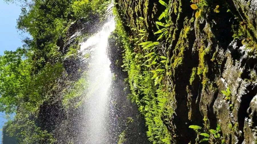 湖北省富硒农产品标准（湖北省富硒产业技术研究院）-硒宝网