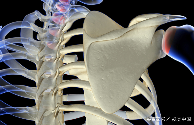 吃啥钙片补钙效果最好（补钙吃钙片好还是食物好）-硒宝网