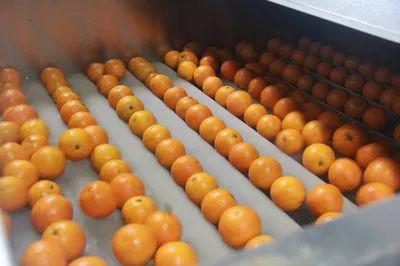 富硒农产品加工废弃物(废弃农作物加工利用)-硒宝网