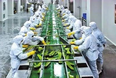 富硒农产品加工废弃物(废弃农作物加工利用)-硒宝网